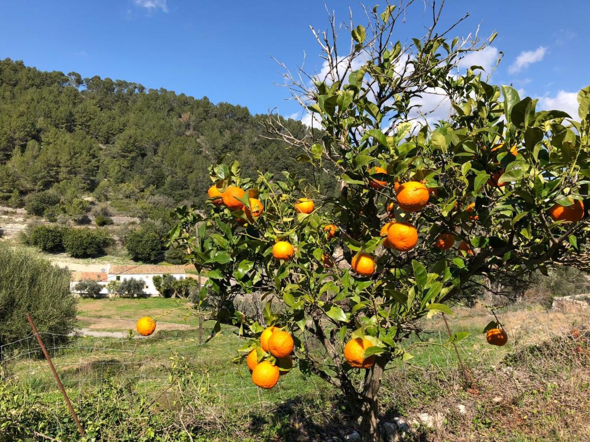 Гостевой дом Agroturismo Finca Can Sec, Sl Льосета Экстерьер фото